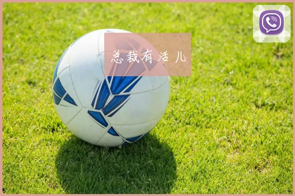 总裁有活儿